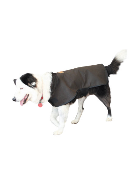 DRI TEC Dog Coat