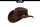 Black Jungle ROSWELL Westernhut Australien Outdoorhut Lederhut Cowboyhut Reithut Hut Unisex